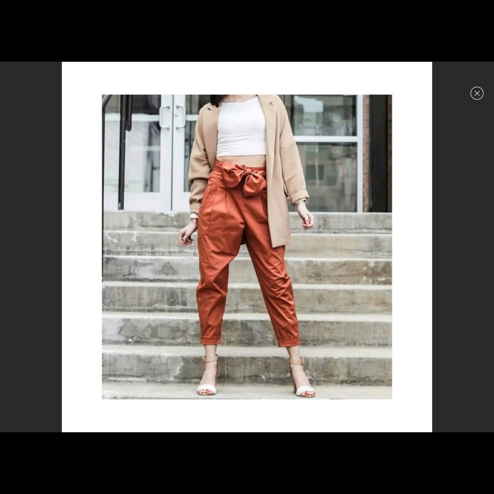 Anthropologie Cartonnier rust color pants, size 8